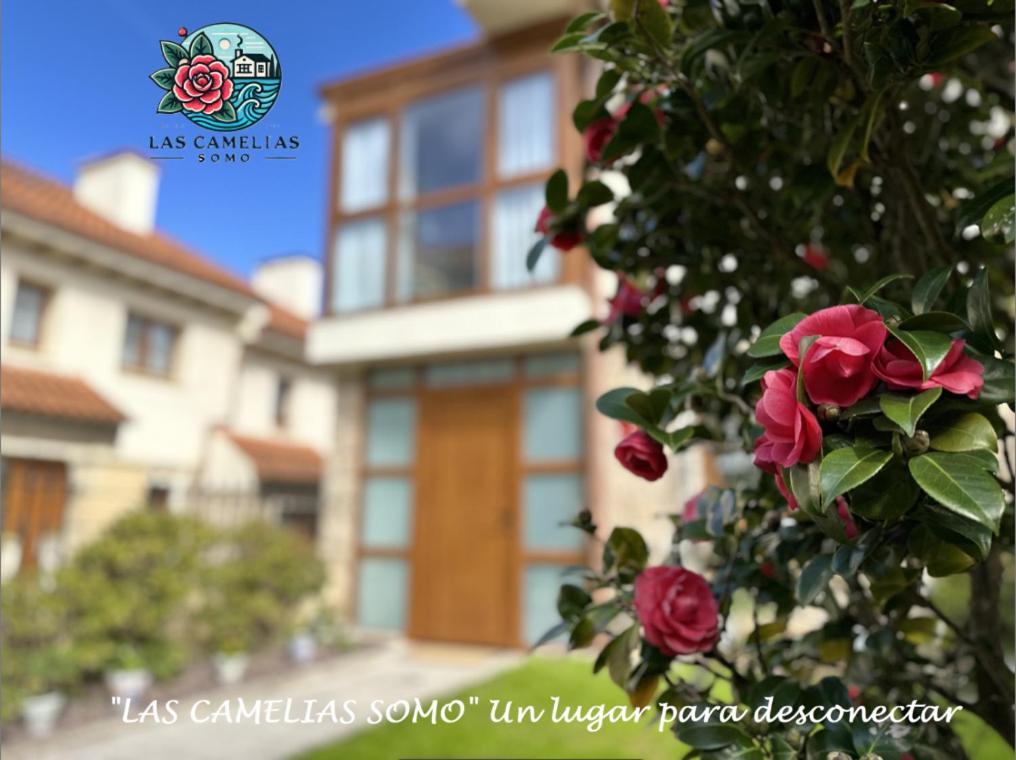 "Las Camelias Somo" Un Lugar Para Desconectar!! Vistas Al Mar!! Exteriér fotografie